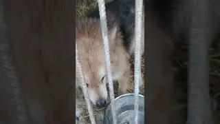 22.01.26