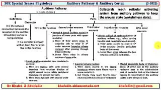 Auditory Pathway & Auditory Cortex (3-2023) by Dr Khaled A Abulfadle
