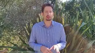 Online Marketing Pro, Online Marketing in NZ