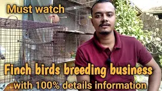 Finch birds breeding business | full information about Birds business  profit and loss details