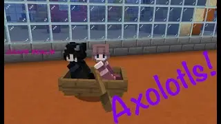 Let's Make an Axolotl Tank!