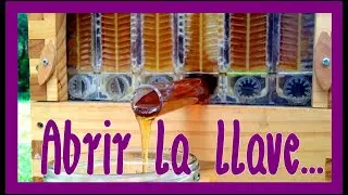 &iquest;Miel directo de la colmena? &iexcl;Colmenas Flow Hive! RECOMENDACI&Oacute;N 2025