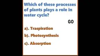 (MCQ) Question and answers(shorts) - 19 CBSE/NCERT Science Class 7|#BrightIQ | #Shorts