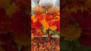 Aaj mein gai Hobby Lobby 🇺🇸#homedecor #fall#youtubeshort #shopping @Abbys-Kitchen