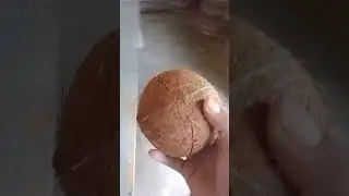 coconut ko fridge ma dalkar dhak to kaya huya expremnt a to z