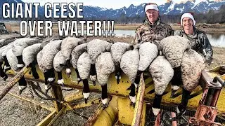 GIANT Geese Over Water: Quick 4 Man Limit - Goose Hunting the Front Range of Colorado!