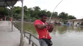 LS fishing pond fight 120kg naga 0123236767