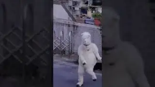 Epic llama hits jig on white woman