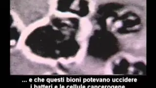 Wilhelm Reich e la scoperta dell'