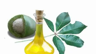 Mongongo Nut Oil Benefits