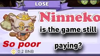 2023 NINNEKO: Still paying?