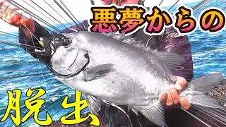 【イシダイ釣り】悪夢の7連続ボーズからの脱出！【Striped beakfish】