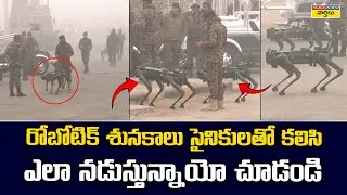 Robotic Dogs Walking With Soldiers || భారత సైన్యంలో రోబోటిక్ శునకాలు || AI Technology In Indian Army