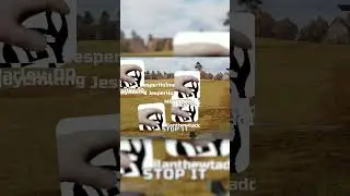 War Thunder 00216000 #Nordern #Antics #Funny moments #War Thunder #War_thunder #WarThunder