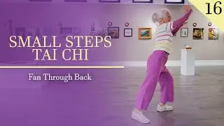 Small Steps Tai Chi Fan Through Back V1