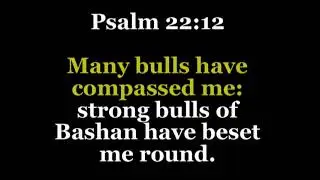 Many bulls have compassed me: strong bulls of Bashan have beset me round.