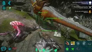 Another Ark Mobile PvP Raid | : Episode 4