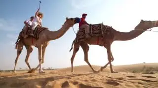 Arabian Adventures | Camel Trekking & Night Safari