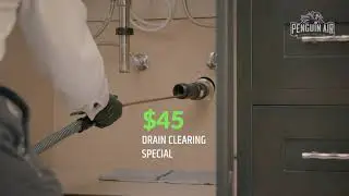 Penguin Plumbing- $45 Drain Clear Phoenix!