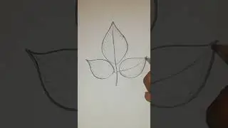 #simple beginner level art  #beautiful #shorts #drawing #belpatra #leaf   #forkids