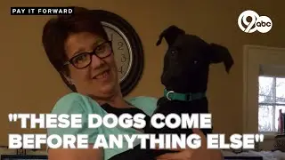 Fraternity of the 4 Paws: Georgia woman dedicates life to rescuing and rehoming dogs