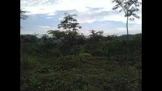 &reg;1 Manfaat tanaman suku polong polongan bagi usaha pertanian