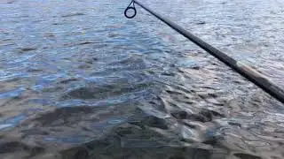 Fall fishing for walleye at Delaware River I caught my PB