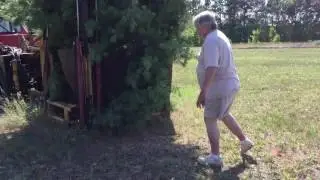 Tree spade