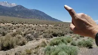 Boundary Peak from highway