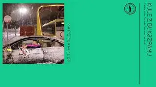 4. Ten Typ Mes - Kule z bukszpanu - RAPERSAMPLER