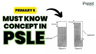 P6 Area and Perimeter - Must Know Before PSLE
