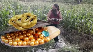 The hardworking girl discovered a strange river clam in the valley, and this time she made a fortune