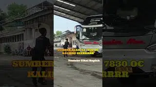 Bus KALIBRE Sumber Alam AA 7830 OC #shorts #huntingbus #busmania