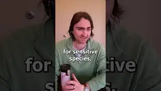 Advanced Air Purification for Healthy Reptile & Amphibian Habitats