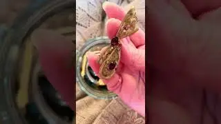 🌟Mystery Jewelry Jar🌟 Open it with me!