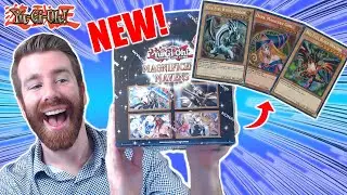 INSANE VALUE Magnificent Mavens Yugioh Pharaohs Rare Pull!
