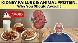 Why No animal Protein for Kidney Failure? #kidneyfailuretreatment #kidneyfailure #ckddiet