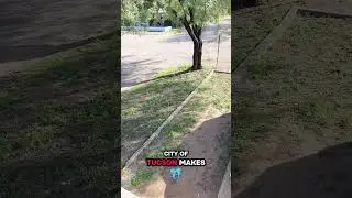This Is Why Code Enforcement Came After Me