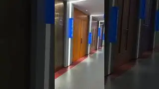 Inside Our Luxury Stainless Steel Door Showroom! 🚪✨