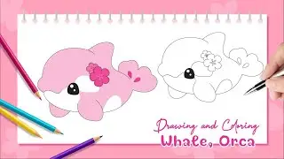 How to Draw a Whale Easy | Cute Orca drawing and coloring Step by Step | Cartoon character drawing