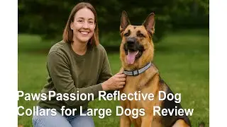 🐕 Обзор светоотражающих ошейников PawsPassion для крупных собак 🦴