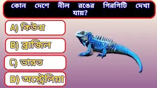 কোন দেশে নীল রঙের গিরগিটি দেখা যায়? #gkquiz 