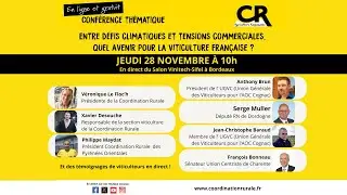 Entre défis climatiques et tensions commerciales,  quel avenir pour la viticulture française ?