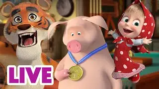 🔴 AO VIVO 👱♀️🐻 Masha e o Urso 🙌💯 Vivendo ao máximo 🤩🫶 Masha and the Bear