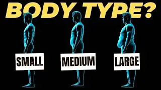Body Type Determines Which Massage Gun You Should Get