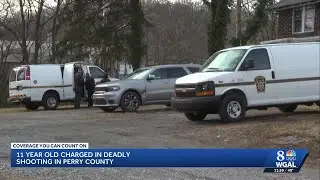 'I killed Daddy': 11-year-old boy shoots, kills Pa. father, courts docs say