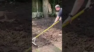 New lawn from seed full video on my YouTube channel