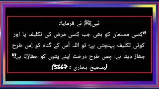 hadees e nabvi in Urdu|Urdu hadees|Hadee's Mubarak in Urdu|hadees