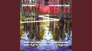 Sounds From A Southern Marshland