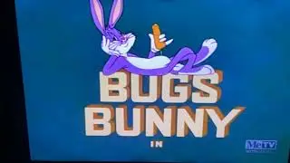 Bunker Hill Bunny (1950) Opening on MeTV